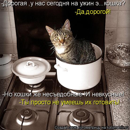Котоматрица: -Дорогая ,у нас сегодня на ужин э...кошка? -Да,дорогой! -Но кошки же несъедобные !И невкусные! -Ты просто не умеешь их готовить!