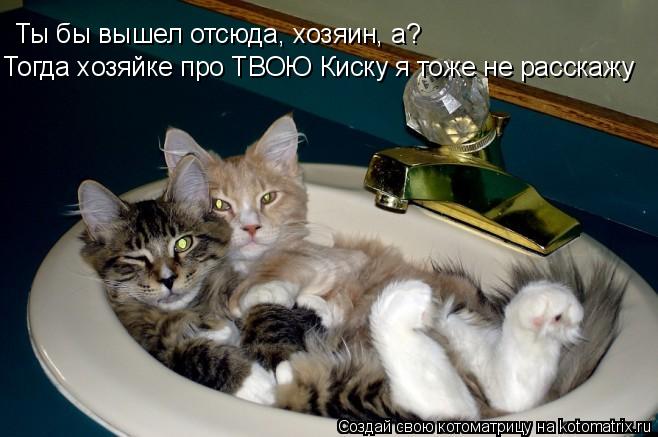 Котоматрица: Ты бы вышел отсюда, хозяин, а?  Тогда хозяйке про ТВОЮ Киску я тоже не расскажу