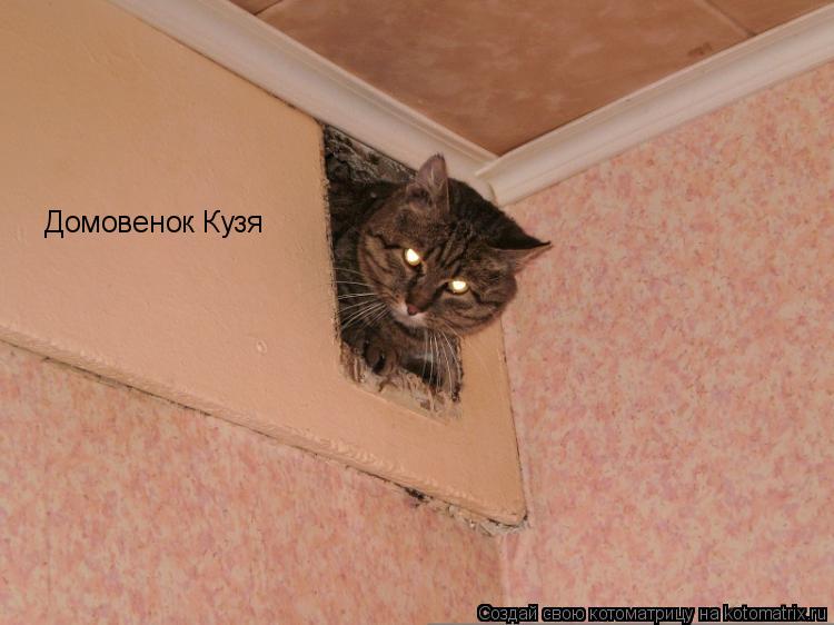 Котоматрица: Домовенок Кузя