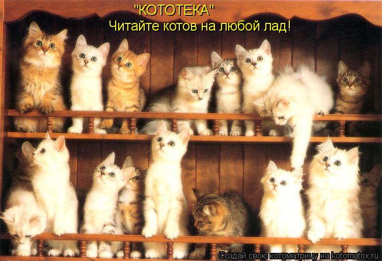 Котоматрица: "КОТОТЕКА" Читайте котов на любой лад!