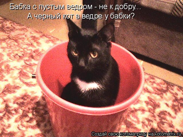 Котоматрица: Бабка с пустым ведром - не к добру... А черный кот в ведре у бабки?