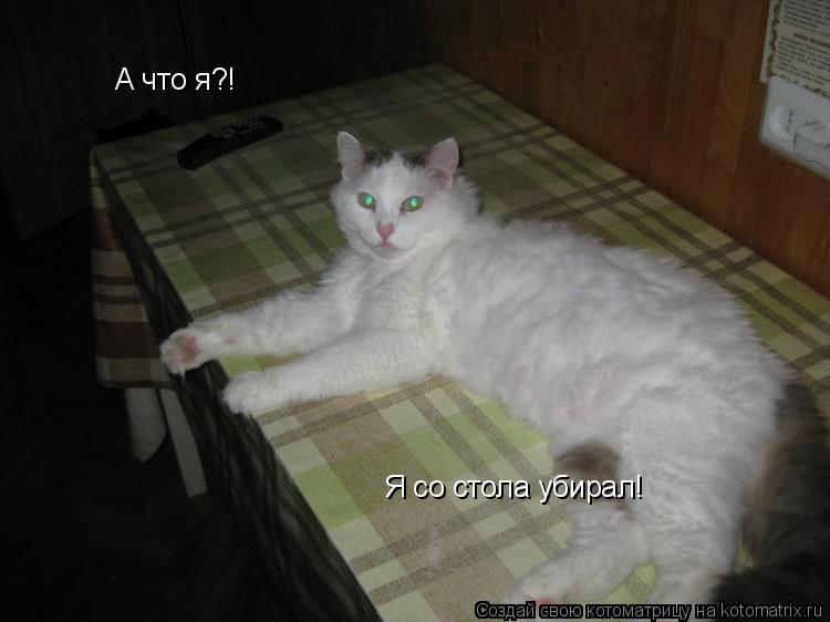 Котоматрица: А что я?!  Я со стола убирал!