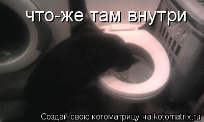 Котоматрица: что-же там внутри