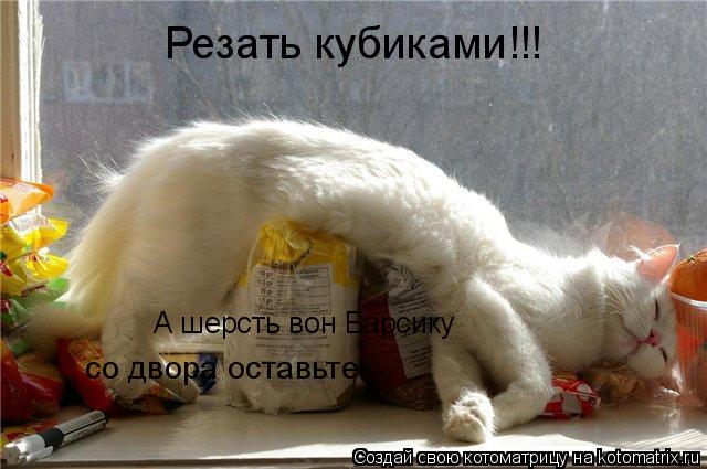 Котоматрица: Резать кубиками!!! А шерсть вон Барсику  со двора оставьте