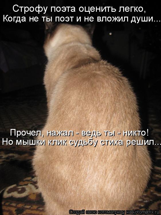 Строфу поэта оценить легко, Когда не ты поэт и не вложил души... Прочел, нажал - ведь ты - никто! ... Котоматрица: Строфу поэта оценить легко, Когда не ты поэт и не вложил души... Прочел, нажал - ведь ты - никто! Но мышки клик судьбу стиха решил...