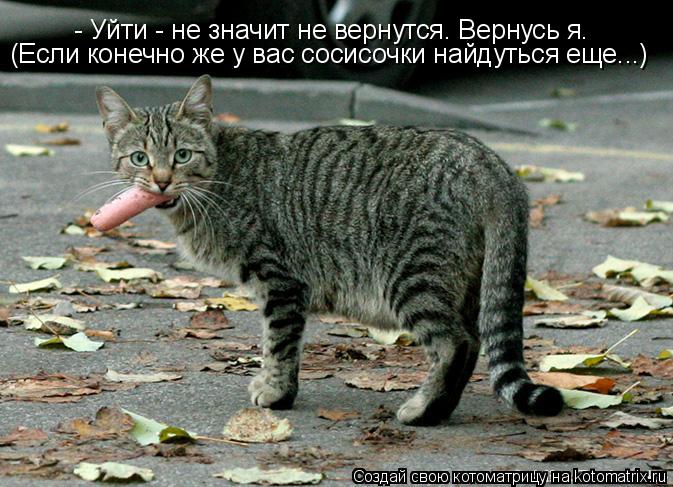 Котоматрица: - Уйти - не значит не вернутся. - Уйти - не значит не вернутся. Вернусь я. (Если конечно же у вас сосисочки найдуться еще...)