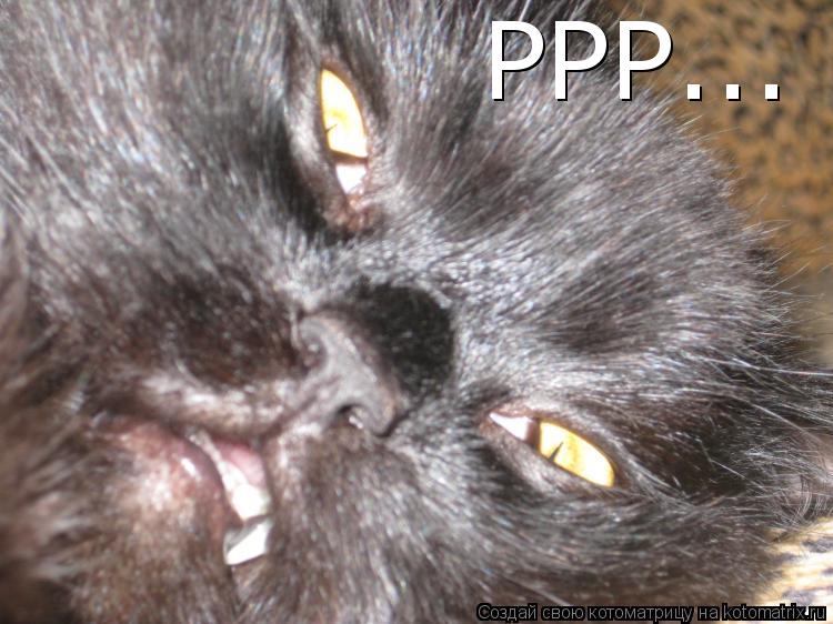 Котоматрица: РРР...