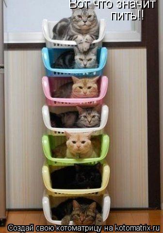 Котоматрица: Вот что значит Вот что значит пить!!