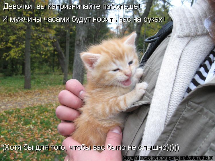 Котоматрица: Девочки, вы капризничайте побольше! И мужчины часами будут носить вас на руках! (Хотя бы для того, чтобы вас было не слышно)))))