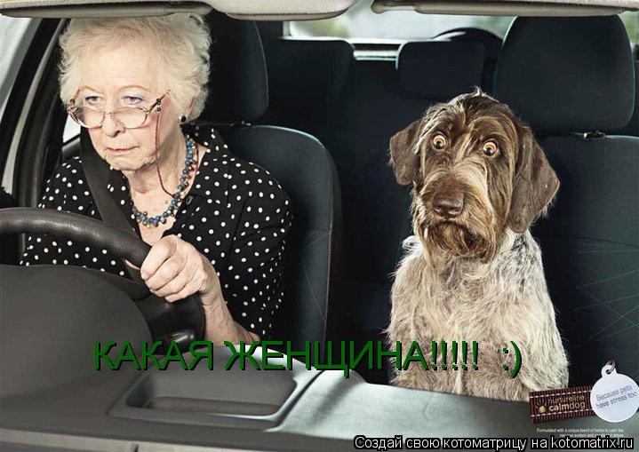 Котоматрица: КАКАЯ ЖЕНЩИНА!!!!!  :)