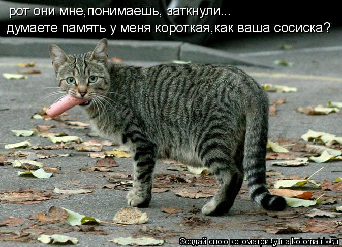 Котоматрица: рот они мне,понимаешь, заткнули... думаете память у меня короткая,как ваша сосиска?
