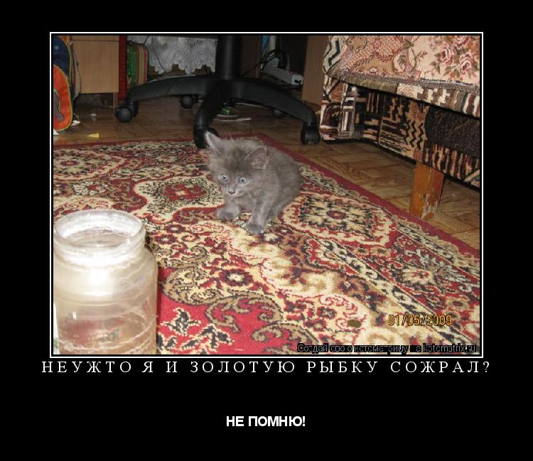 Котоматрица: Неужто я и золотую рыбку сожрал? НЕ ПОМНЮ!