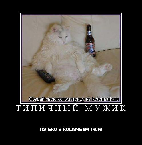 Котоматрица: ТИПИЧНЫЙ МУЖИК только в кошачьем теле