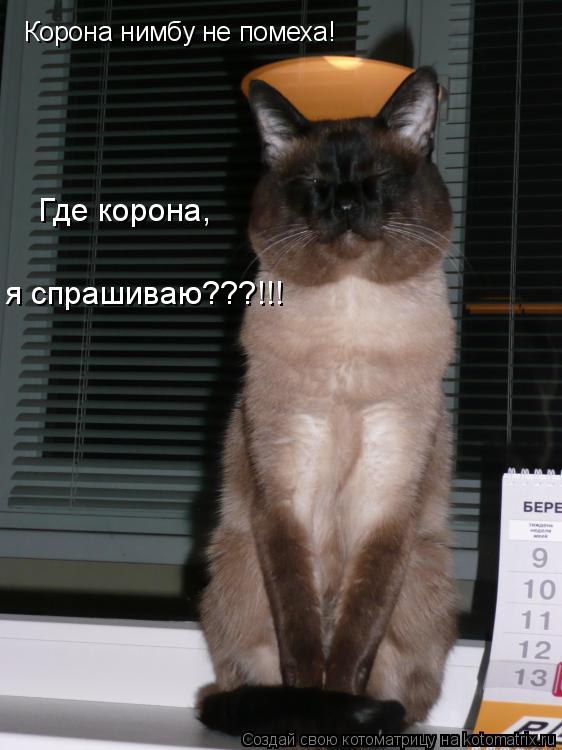 Котоматрица: Корона нимбу не помеха!  Где корона,  я спрашиваю???!!!