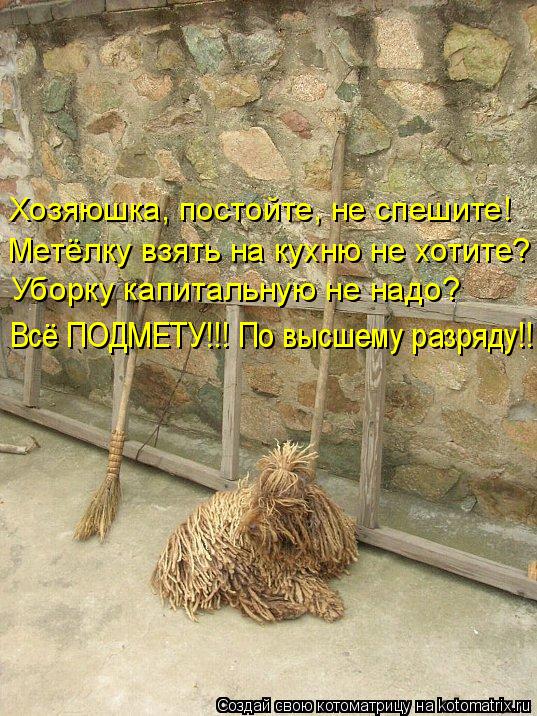 Хозяюшка, постойте, не спешите! Метёлку взять на кухню не хотите? Уборку капитальную не надо? Всё ПОД... Котоматрица: Хозяюшка, постойте, не спешите! Метёлку взять на кухню не хотите? Уборку капитальную не надо? Всё ПОДМЕТУ!!! По высшему разряду!!