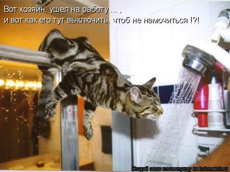 Котоматрица: Вот хозяин, ушел на работу ... , и вот как его тут выключить, чтоб не намочиться !?!
