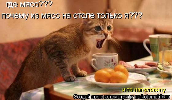 где мясо??? почему из мясо на столе только я??? и то наполовину... Котоматрица: где мясо??? почему из мясо на столе только я??? и то наполовину