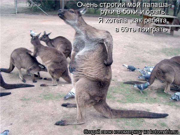 Котоматрица: Очень строгий мой папаша- руки в боки и орать.. в 69ть поиграть ! Я хотела ,как ребята,