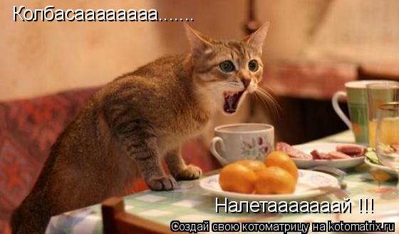 Котоматрица: Колбасаааааааа....... Налетааааааай !!!