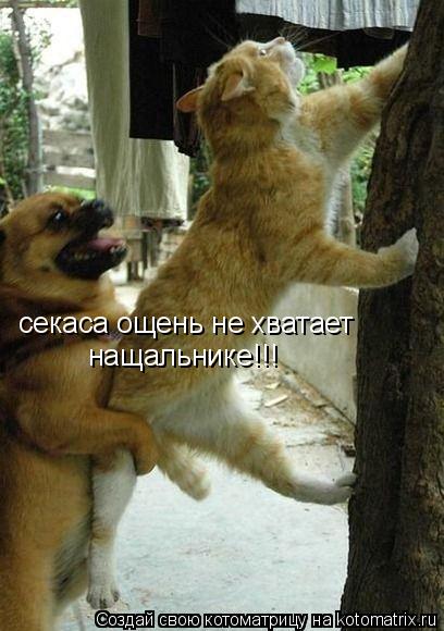 Котоматрица: секаса ощень не хватает нащальнике!!!