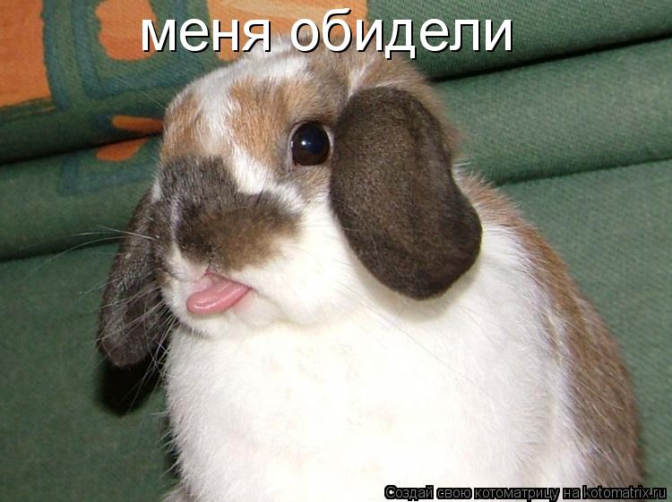 Котоматрица: меня обидели