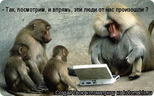 Котоматрица: - Так, посмотрим, и впрямь, эти люди от нас произошли ?