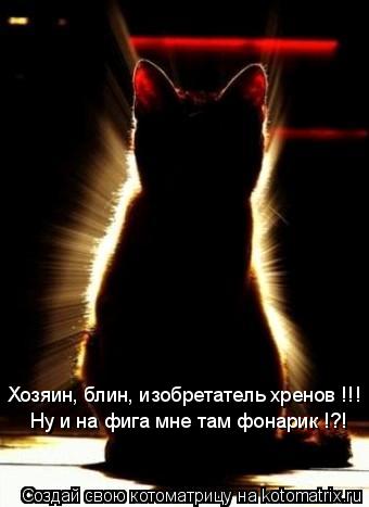 Котоматрица: Хозяин, блин, изобретатель хренов !!!  Ну и на фига мне там фонарик !?!