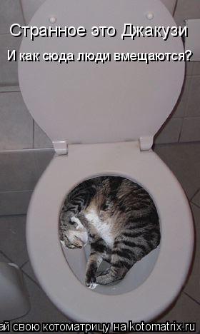Котоматрица: Странное это Джакузи И как сюда люди вмещаются?