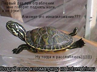 Котоматрица: Первый раз при ограблении мне говорят поднять ноги, А может это изнасилование??? а не руки!!! Ну тогда я расслаблюсь))))))))
