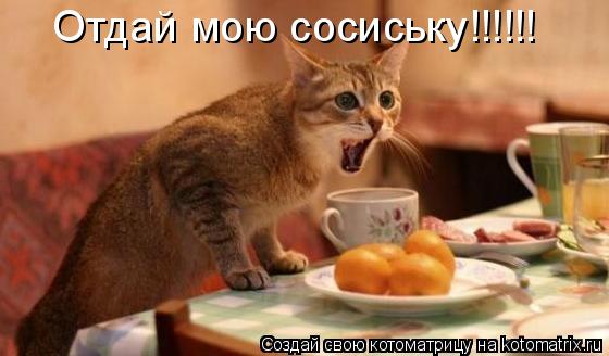 Котоматрица: Отдай мою сосиську!!!!!!