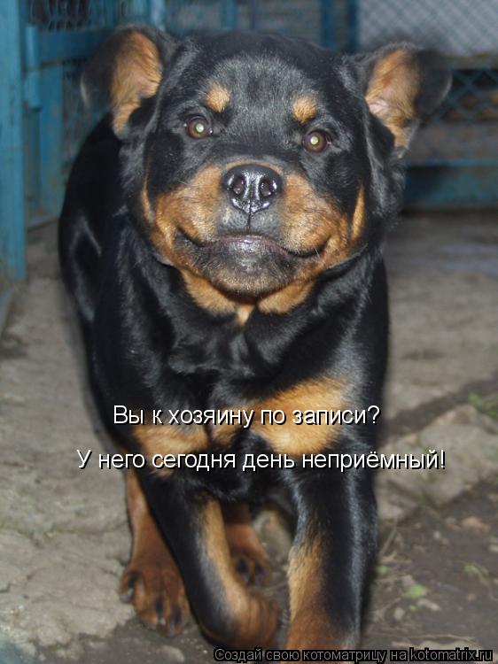 Котоматрица: Вы к хозяину по записи?  У него сегодня день неприёмный!