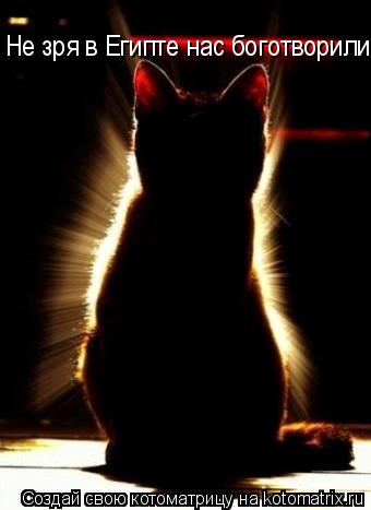 Котоматрица: Не зря в Египте нас боготворили!