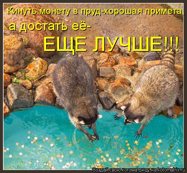 Котоматрица: Кинуть монету в пруд-хорошая примета, а достать её- ЕЩЕ ЛУЧШЕ!!!