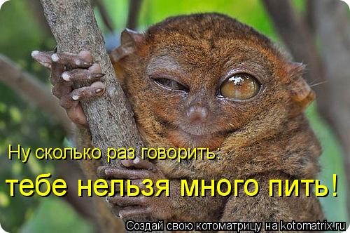 Котоматрица: Ну сколько раз говорить: тебе нельзя много пить!