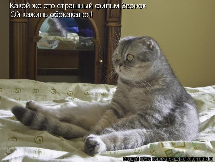 Котоматрица: Какой же это страшный фильм,Звонок. Ой кажиль обокакался!