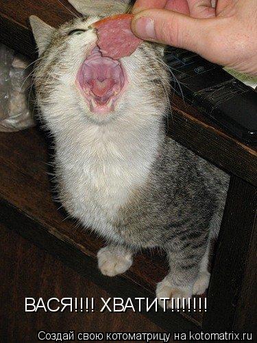 Котоматрица: ВАСЯ!!!! ХВАТИТ!!!!!!!