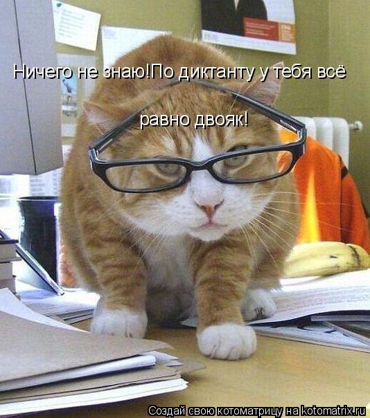 Котоматрица: Ничего не знаю!По диктанту у тебя всё  равно двояк!