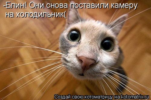 Котоматрица: -Блин! Они снова поставили камеру на холодильник(