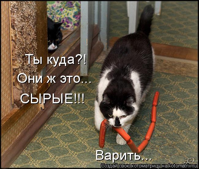 Ты куда?! Они ж это... СЫРЫЕ!!! Варить...... Котоматрица: Ты куда?! Они ж это... СЫРЫЕ!!! Варить...