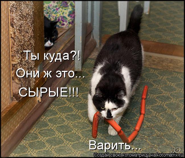 Котоматрица: Ты куда?! Они ж это... СЫРЫЕ!!! Варить...