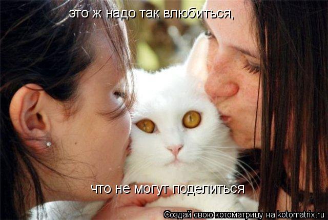 Котоматрица: это ж надо так влюбиться,  что не могут поделиться