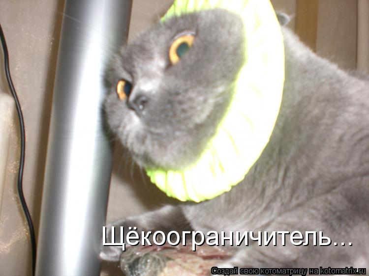 Котоматрица: Щёкоограничитель...