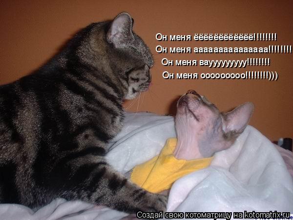 Котоматрица: Он меня ёёёёёёёёёёёё!!!!!!!! Он меня ааааааааааааааа!!!!!!!! Он меня ваууууууууу!!!!!!!! Он меня ооооооооо!!!!!!!!)))
