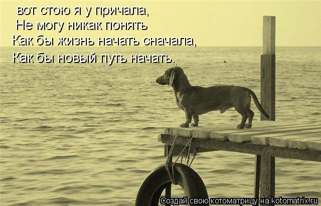Котоматрица: вот стою я у причала,  Не могу никак понять Как бы жизнь начать сначала, Как бы новый путь начать.