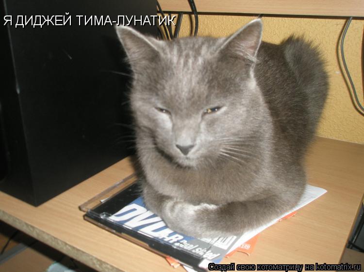 Котоматрица: Я ДИДЖЕЙ ТИМА-ЛУНАТИК