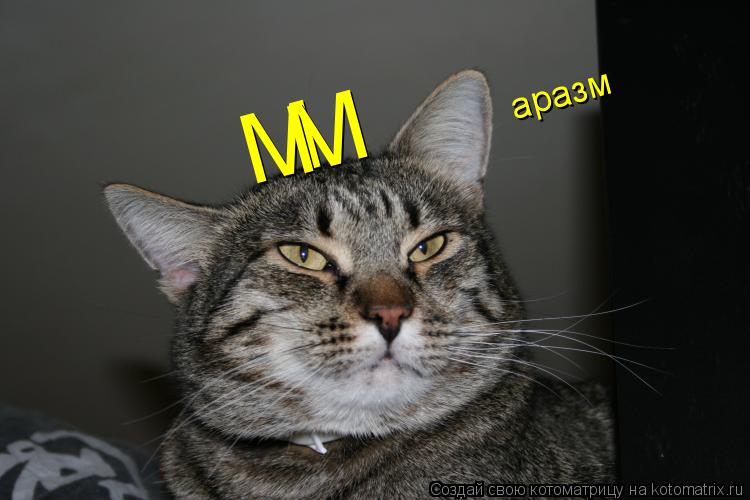 Котоматрица: M M  аразм
