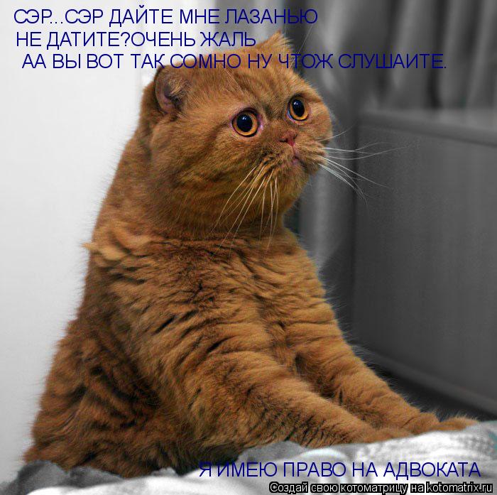 Котоматрица: СЭР...СЭР ДАЙТЕ МНЕ ЛАЗАНЬЮ НЕ ДАТИТЕ?ОЧЕНЬ ЖАЛЬ АА ВЫ ВОТ ТАК СОМНО НУ ЧТОЖ СЛУШАИТЕ. Я ИМЕЮ ПРАВО НА АДВОКАТА