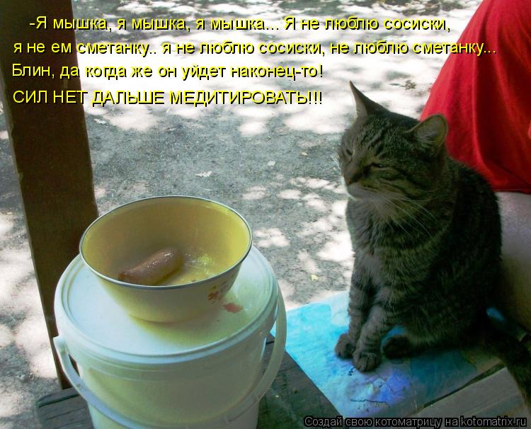 Котоматрица: -Я мышка, я мышка, я мышка... Я не люблю сосиски,  я не ем сметанку.. я не люблю сосиски, не люблю сметанку...  Блин, да когда же он уйдет наконец-то!