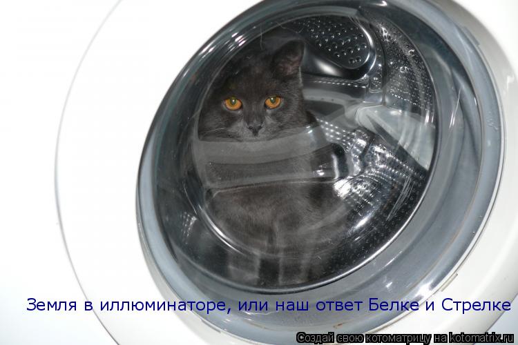 Земля в иллюминаторе, или наш ответ Белке и Стрелке... Котоматрица: Земля в иллюминаторе, или наш ответ Белке и Стрелке