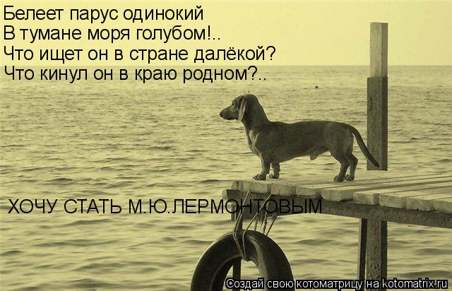Котоматрица: Белеет парус одинокий В тумане моря голубом!.. Что ищет он в стране далёкой? Что кинул он в краю родном?.. ХОЧУ СТАТЬ М.Ю.ЛЕРМОНТОВЫМ